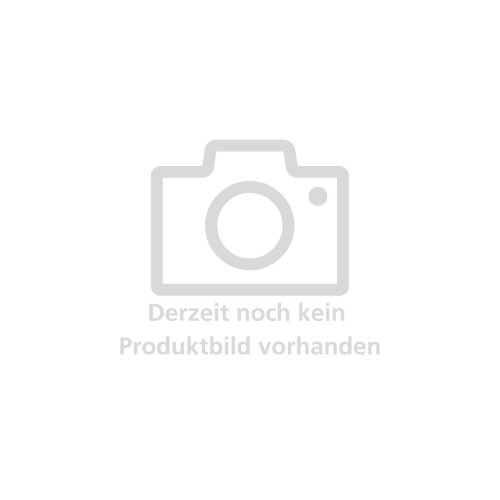 Auslegerkonsole verzinkt 1.000 mm mit Winkelstütze – Set mit 2 Stück