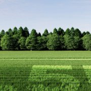 iGarden Mähroboter R Serie